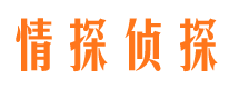 嫩江市侦探调查公司